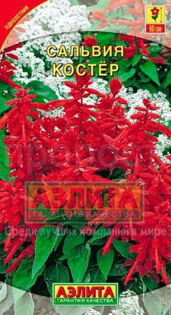 Аэлита Сальвия Костер 0,1г