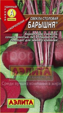 Аэлита Свекла Барышня 3г