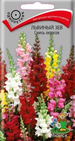 Поиск Львиный зев Смесь 0,3г