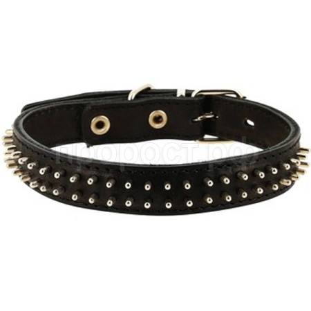 Ошейник кожа 25мм двойной с шипами 39-46см/00025110/Каскад
