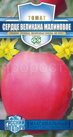 Гавриш серия Русский богатырь Томат Сердце великана малиновое 0,05 г 