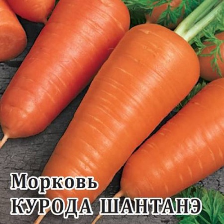 Морковь Курода Шантанэ 25 г