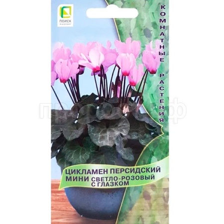 Поиск Комн. Цикламен персидский Розовый с глазком 2шт