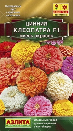 Аэлита Цинния Клеопатра F1 смесь 12шт