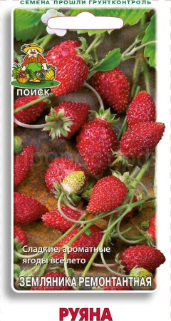 Поиск Земляника Руяна ремонтантная 100шт 