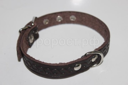 Ошейник кожа 17мм 1слойный 35-40см/40496/Бим