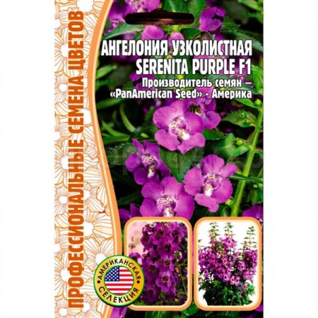 Редкие растения Ангелония узколистная Serenita Рurple F1 3шт