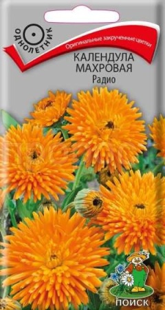 Поиск Календула Радио 1гр