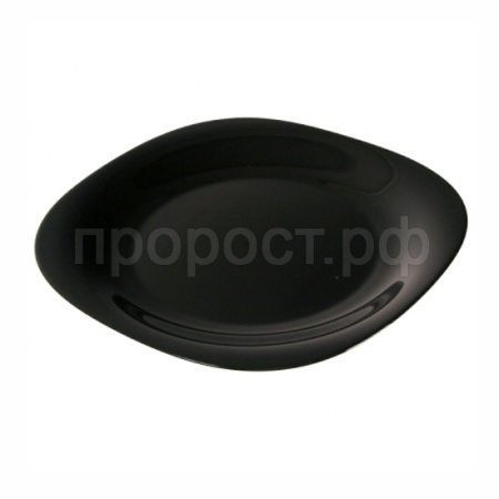 Тарелка обеденная "НЬЮ КАРИН" 26см черная