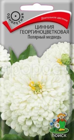 Поиск Цинния георгиноцветковая Полярный медведь 0,4г