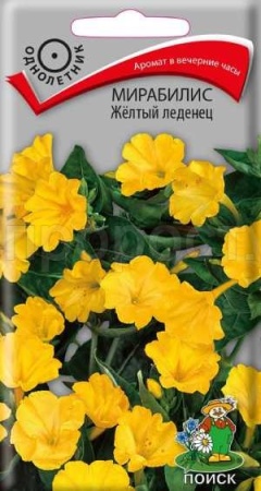 Поиск Мирабилис Желтый леденец 1гр