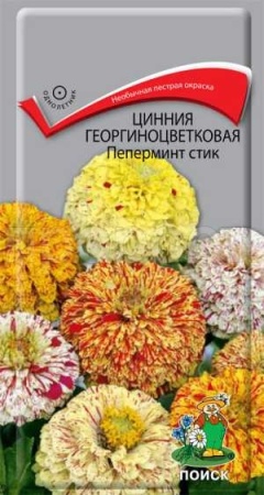Поиск Цинния георгиноцветковая Пеперминт стик 0,4г