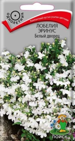 Поиск Лобелия Белый дворец 0,1г