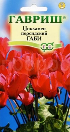 Гавриш Цикламен персидский Габи  3 шт