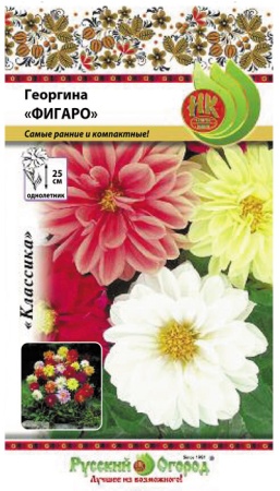 Георгина Фигаро смесь 0,2г