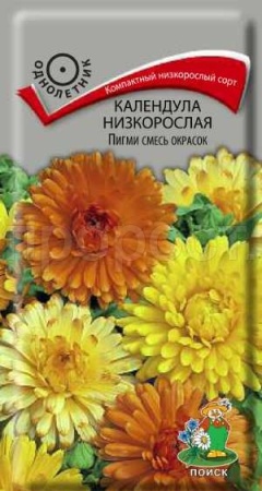 Поиск Календула Пигми смесь окрасок 0,3гр