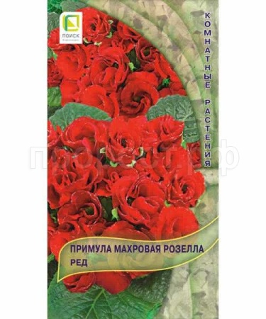 Поиск Комн. Примула махровая Розелла Ред 5шт